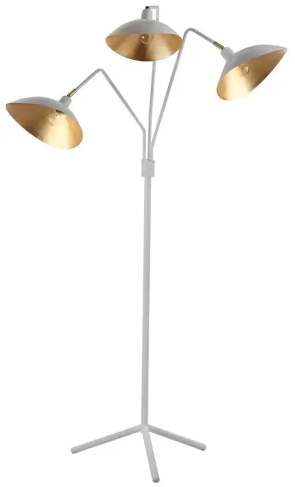 Iris 69.5-Inch H Floor Lamp