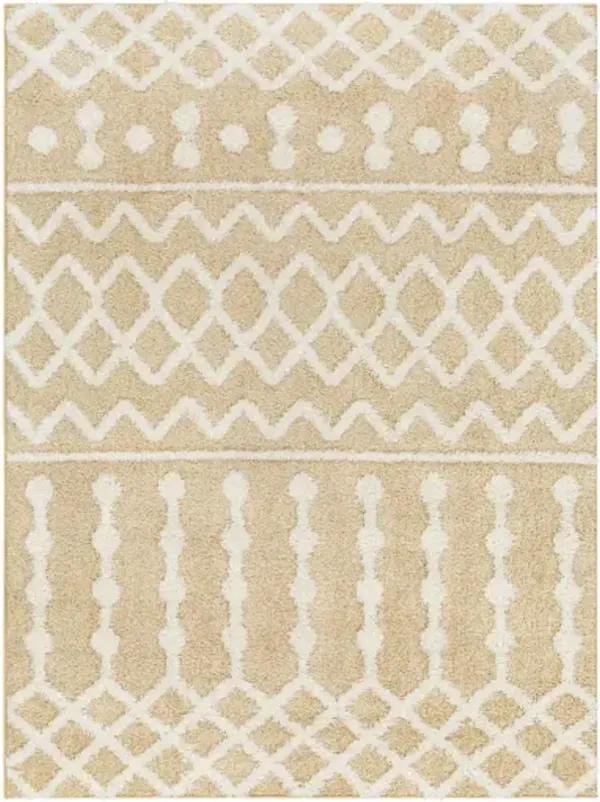 Rodos RDO-2345 7'10" x 10' Machine Woven Rug