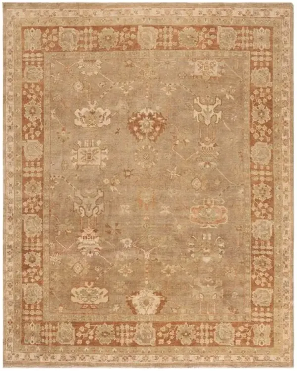 OSH118 Orange 4' X 6' Small Rectangle Rug