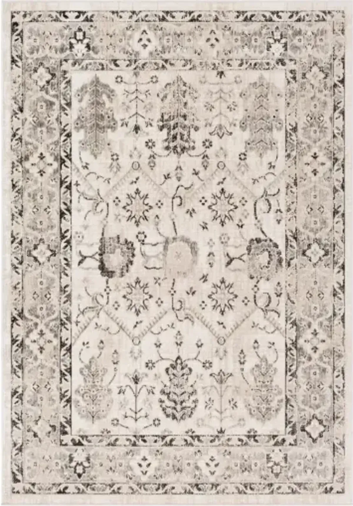 Rafetus 5'3" x 7'7" Rug