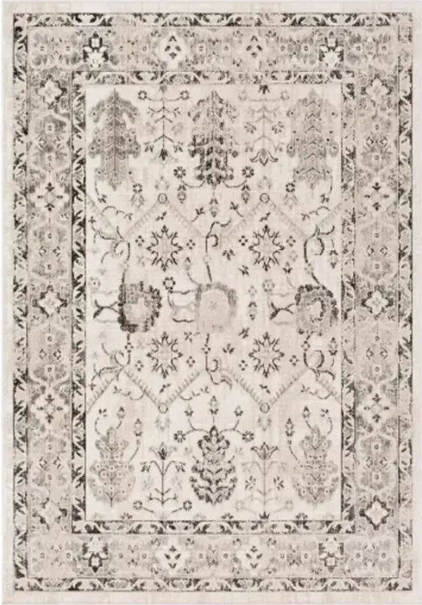 Rafetus 5'3" x 7'7" Rug