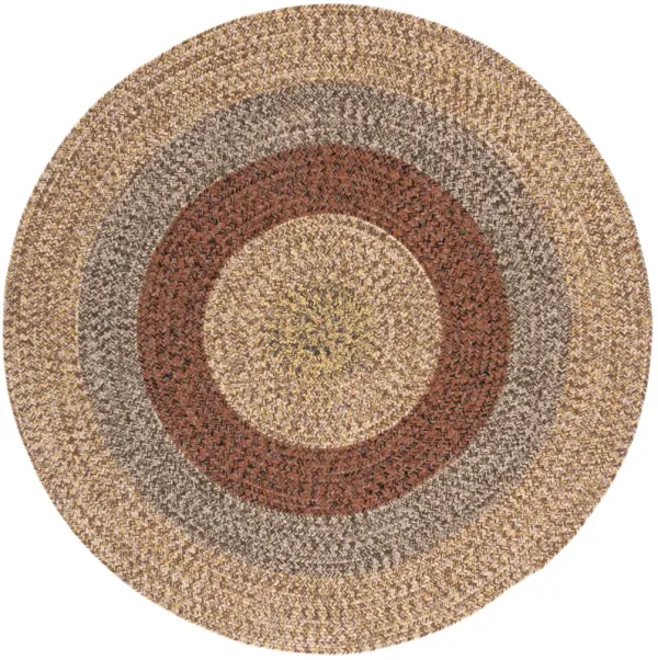 BRAIDED Hand Woven 3' x 3' Round area rug