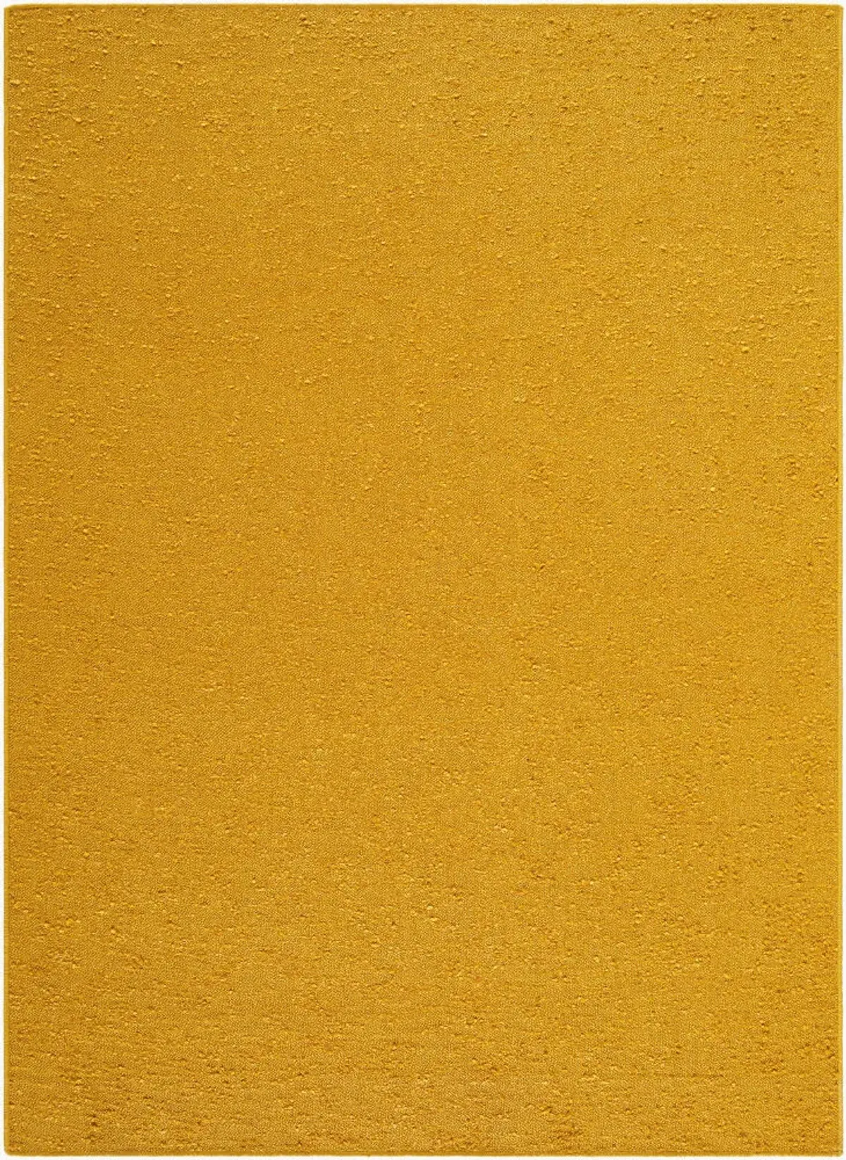 Lush 2' x 3' Handmade Rug