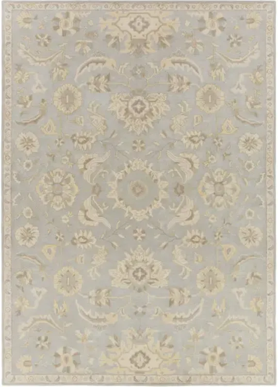 Caesar CAE-1162 3' x 12' Rug