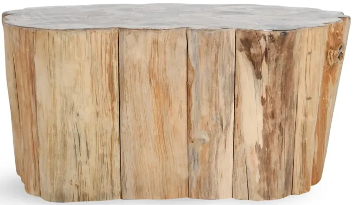 Norwest Teak Wood Coastal Coffee Table in Natural Tone