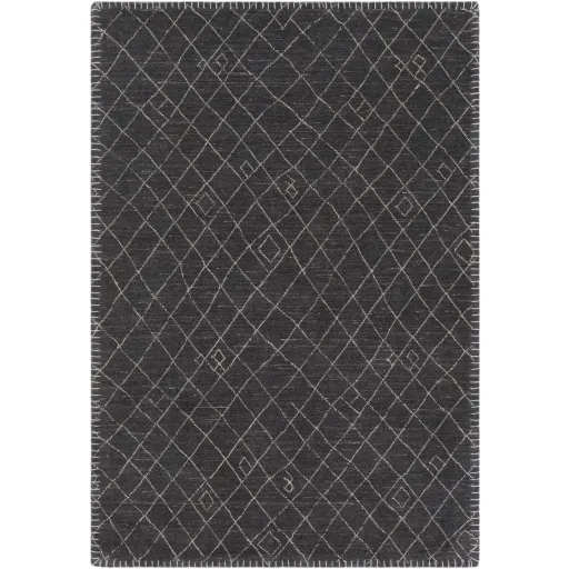 Arlequin 2' x 3' Rug