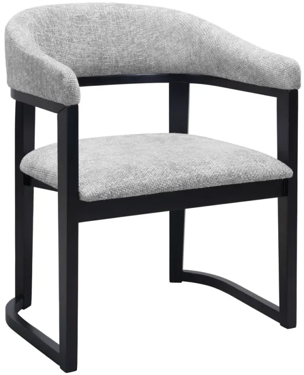 Anasa Dining Chair Gray