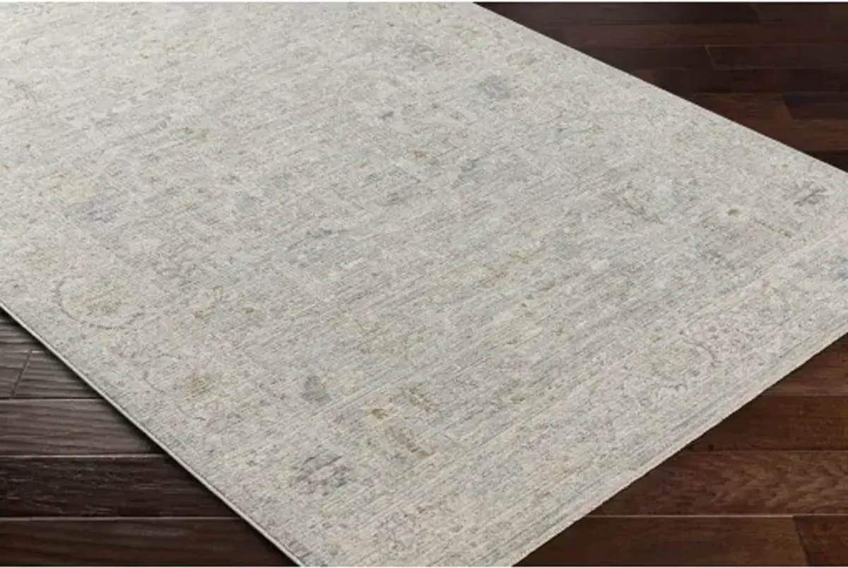 Avant Garde AVT-2339 2'7" x 10' Rug