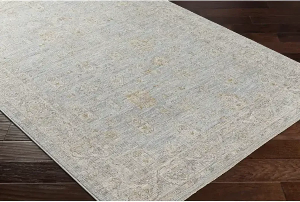 Avant Garde AVT-2344 2'7" x 7'3" Rug