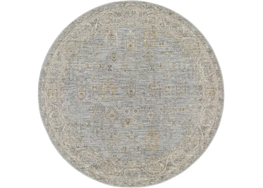 Avant Garde AVT-2344 2'7" x 7'3" Rug