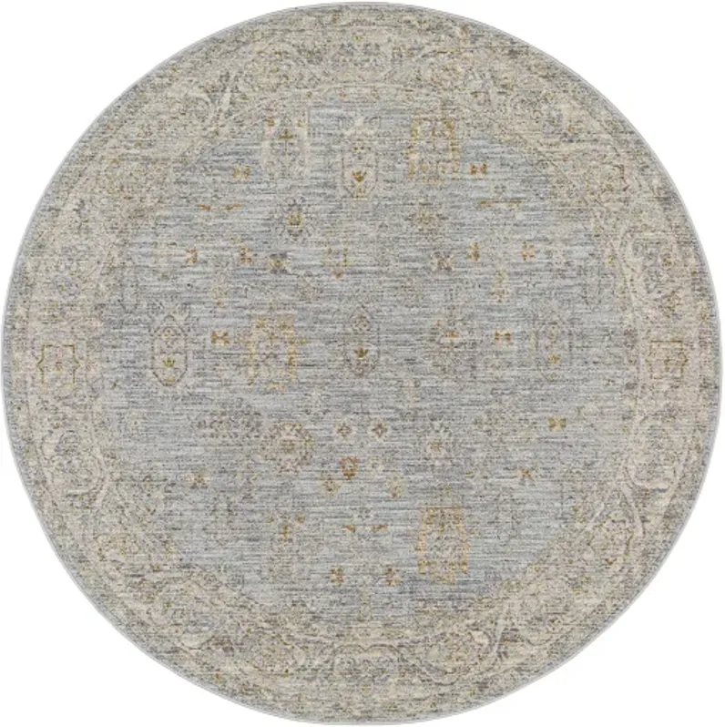 Avant Garde AVT-2344 2'7" x 7'3" Rug