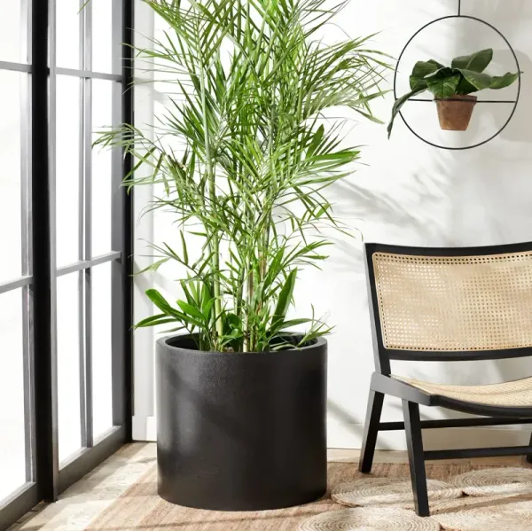 Novogratz Fredericksburg Planter by Raymour & Flanigan