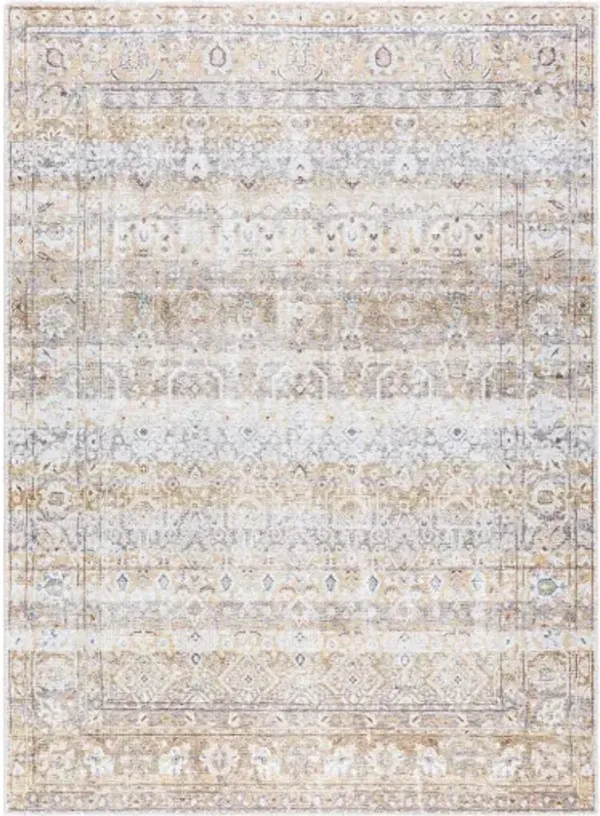 Amelie AML-2400 2'7" x 7'10" Machine Woven Rug