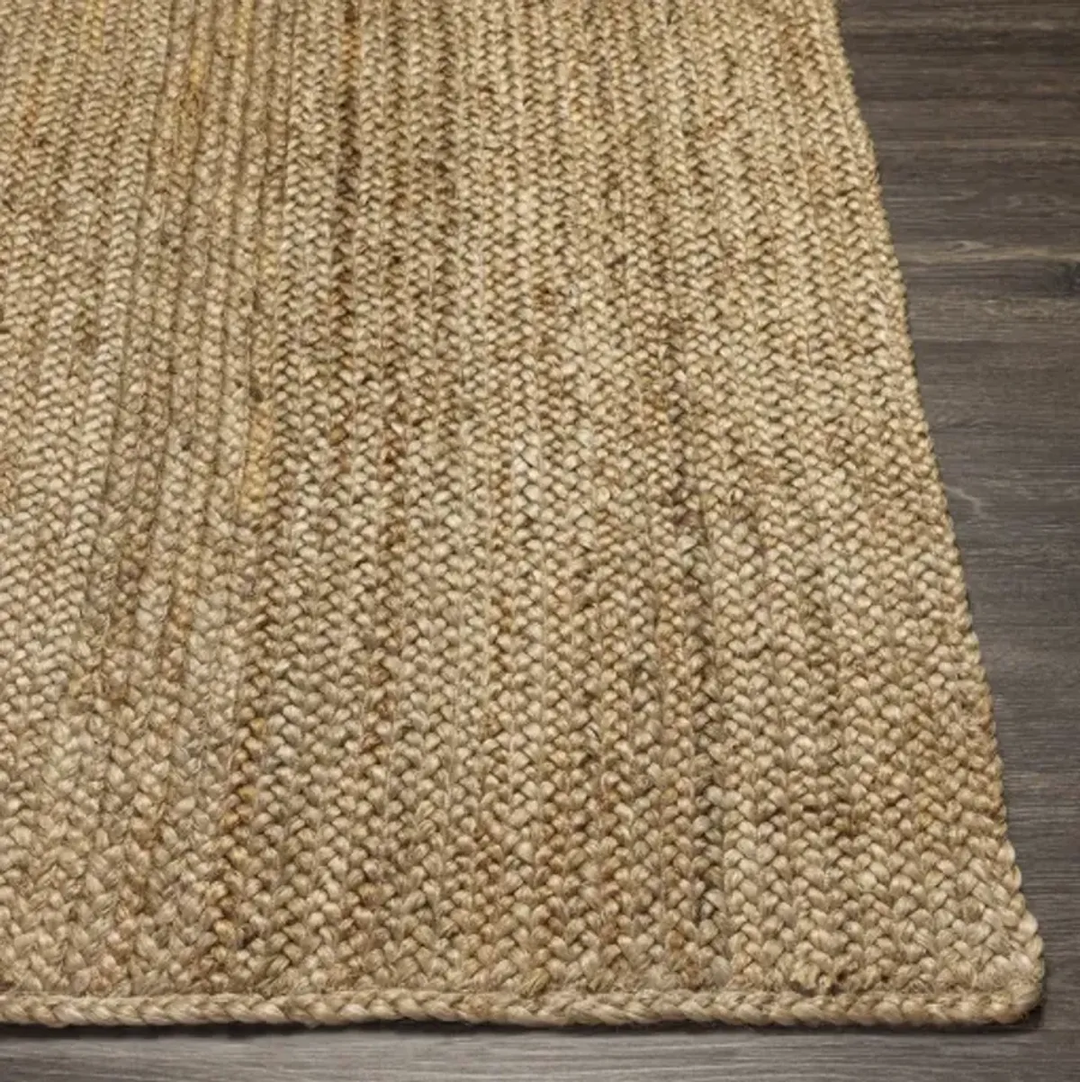 Natural Braids NBD-2300 2'6" x 8' Rug