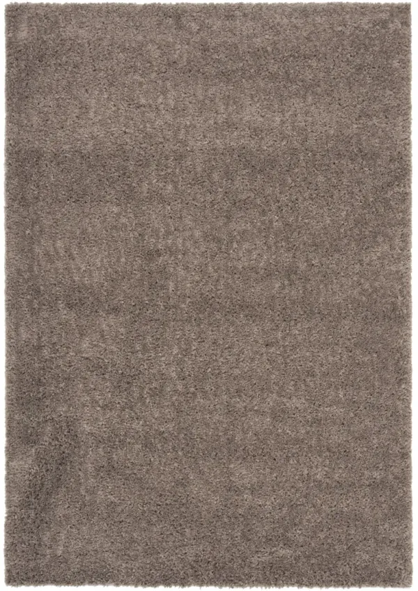 AUGUST SHAG 900 TAUPE 2' x 3' Accent Rug
