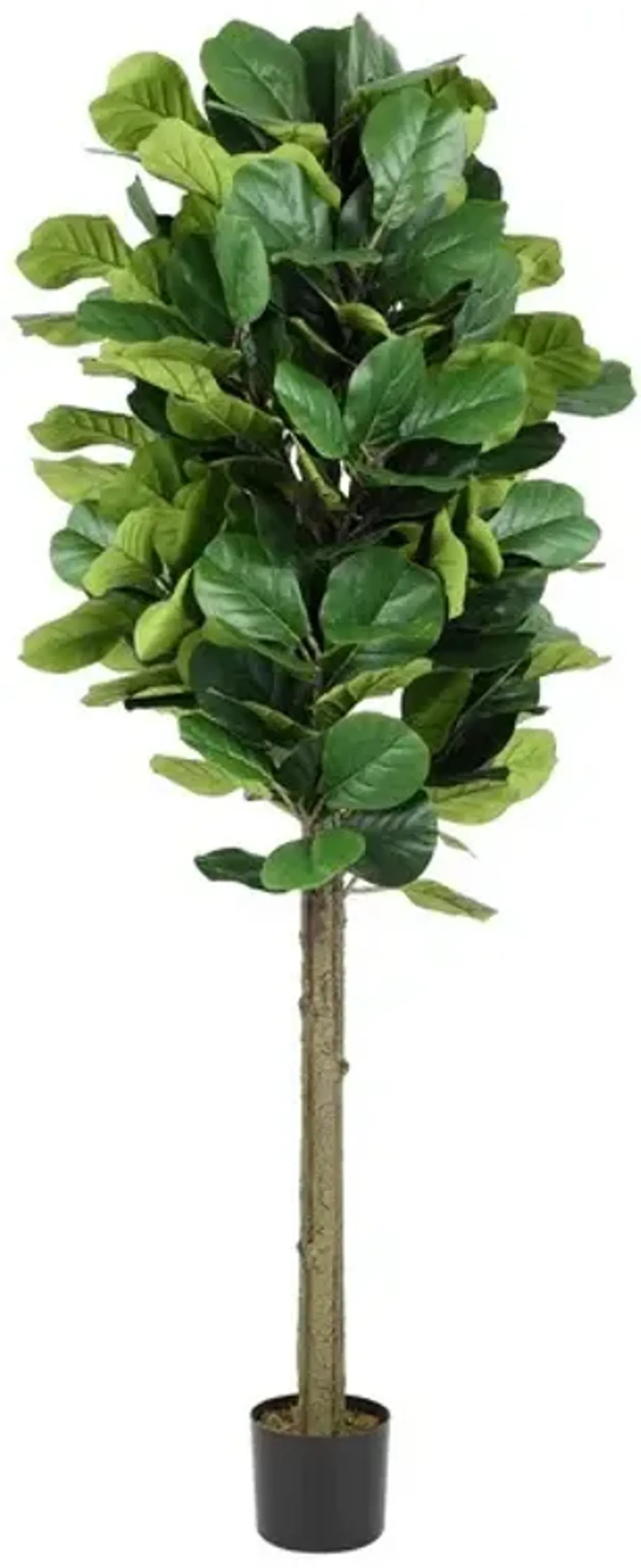 Faux Potted Fig Tree