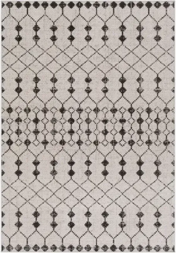 Rafetus 5'3" x 7'7" Rug