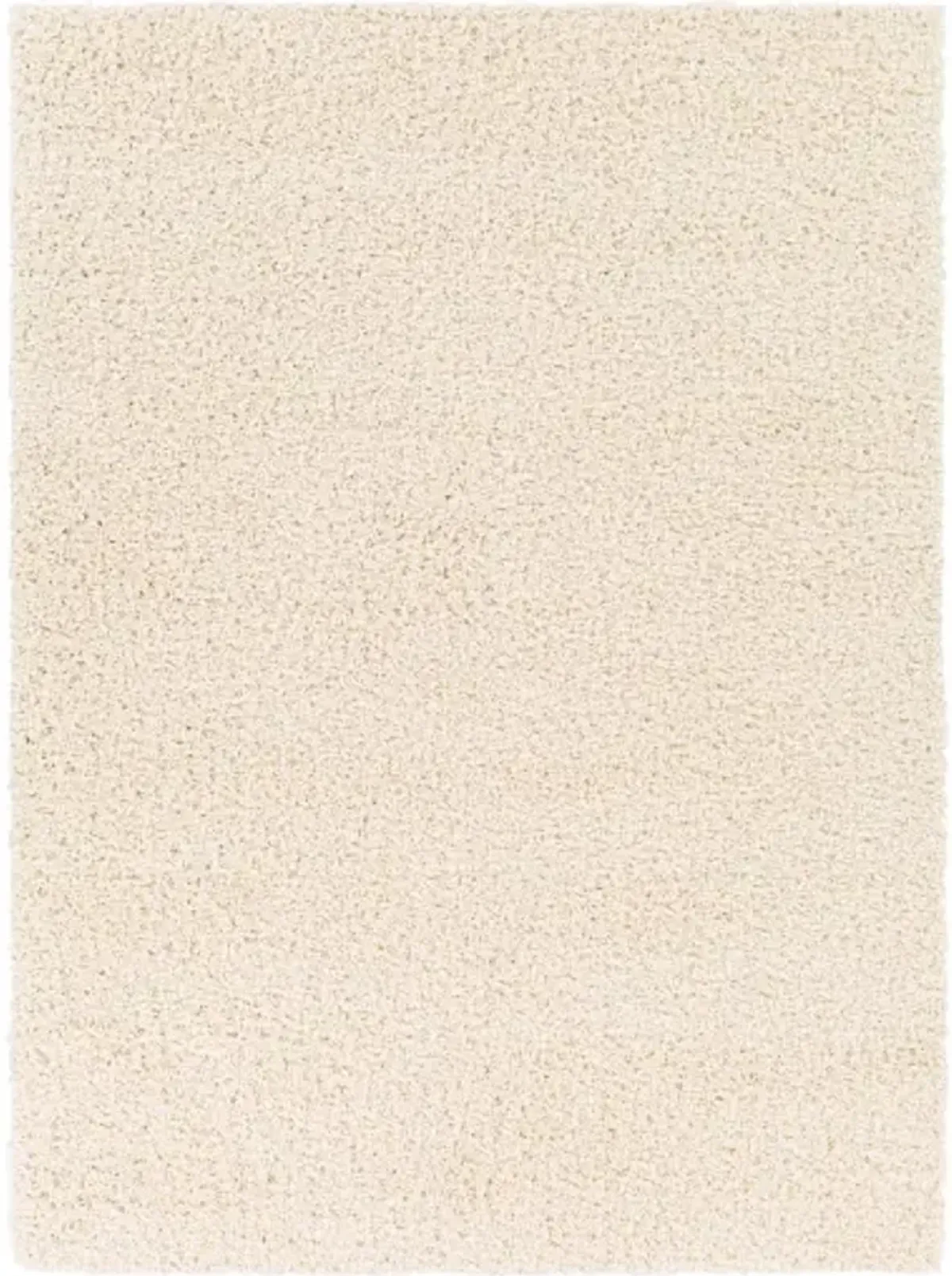 Bliss shag 4'3" x 5'7" Rug