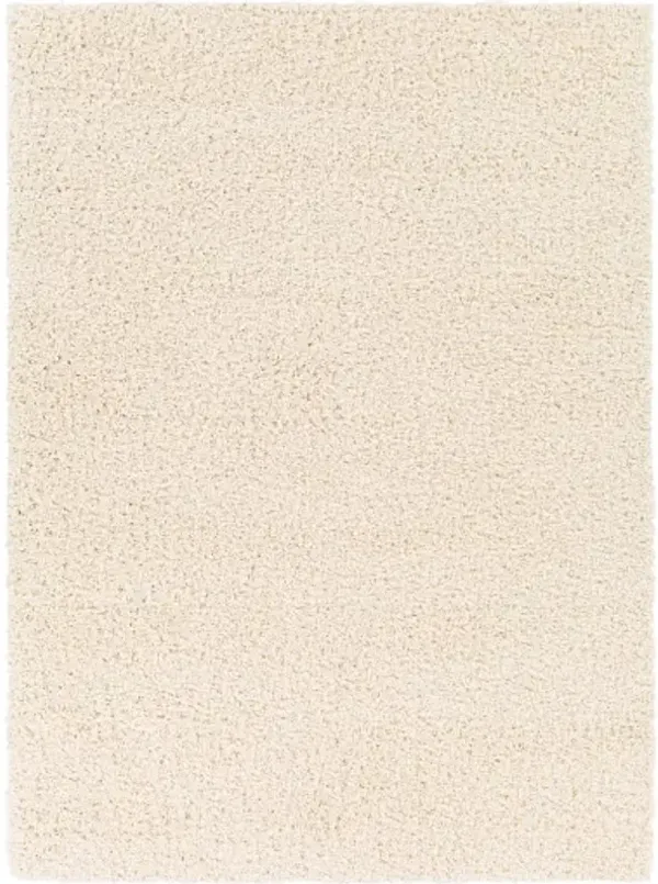 Bliss shag 4'3" x 5'7" Rug