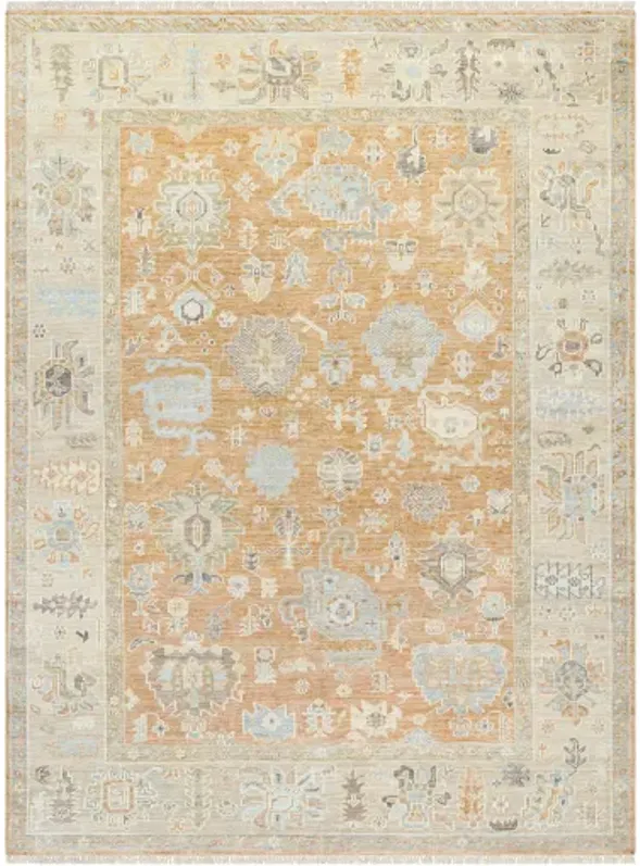 Antalya AAT-2313 2' x 3' Handmade Rug