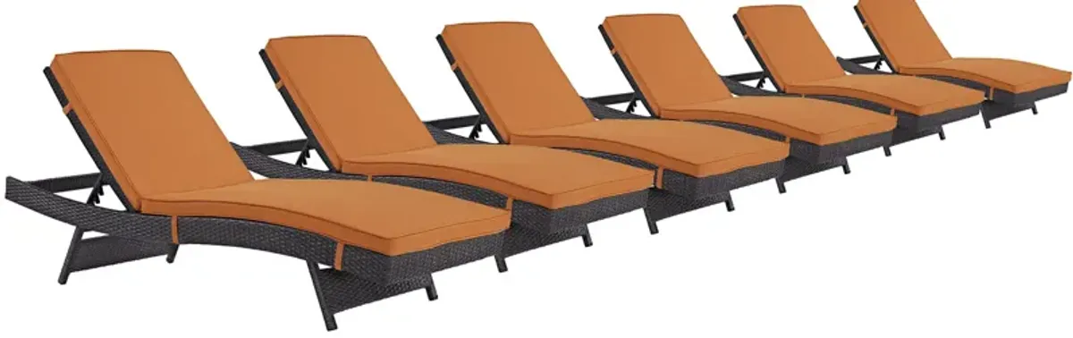 Convene Chaise Outdoor Patio Set of 6