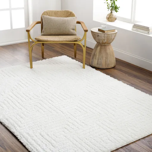 Nomadic NMC-2314 5'3" x 7' Machine Woven Rug