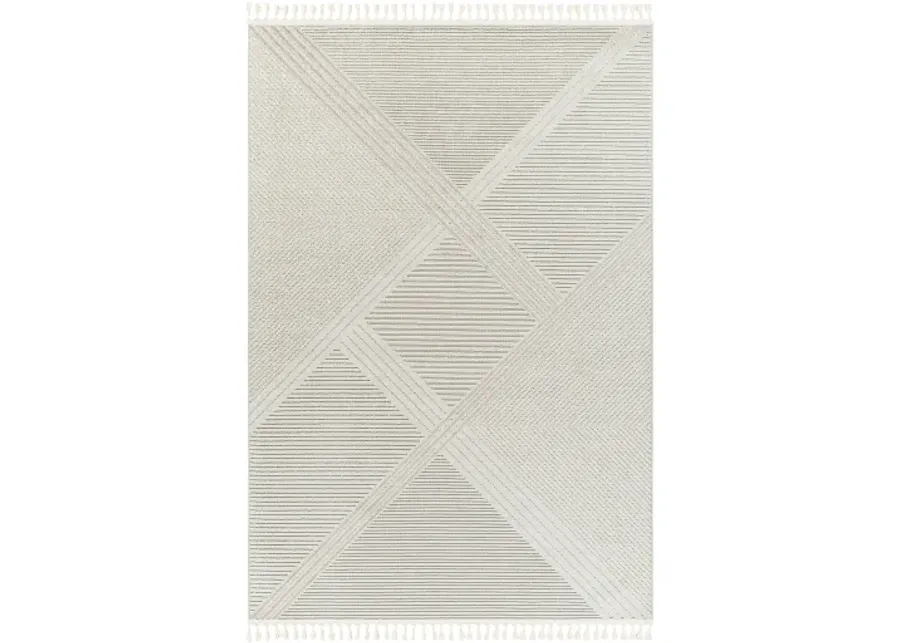 Finland FND-2304 7'10" x 10' Machine Woven Rug