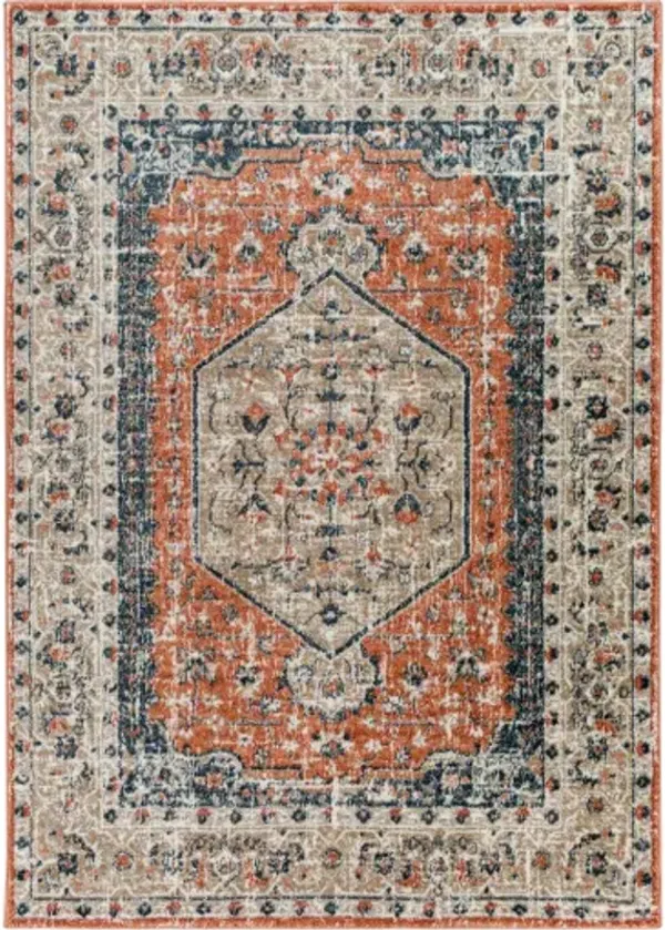 Davaro 5'3" x 7' Rug