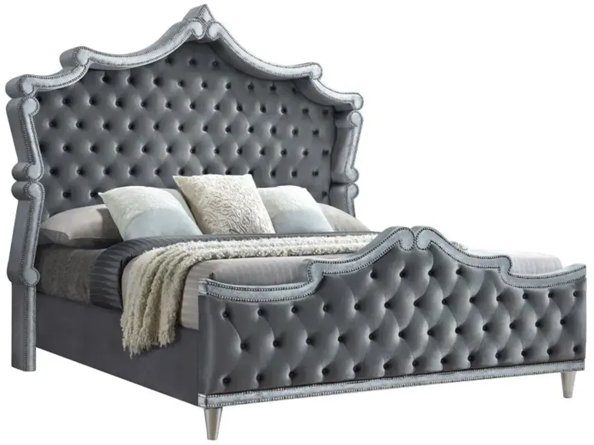 Antonella Upholstered Tufted Eastern King Bed Grey