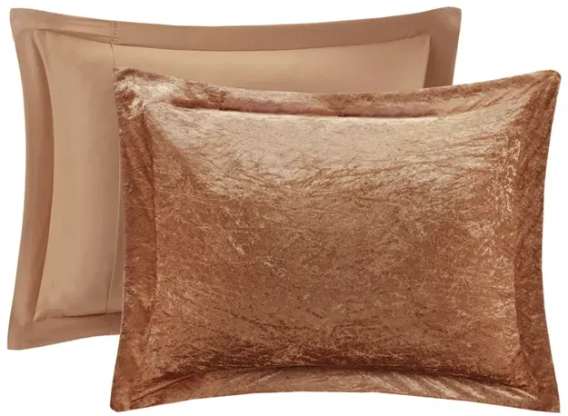 Velvet Comforter Set with Throw Pillow