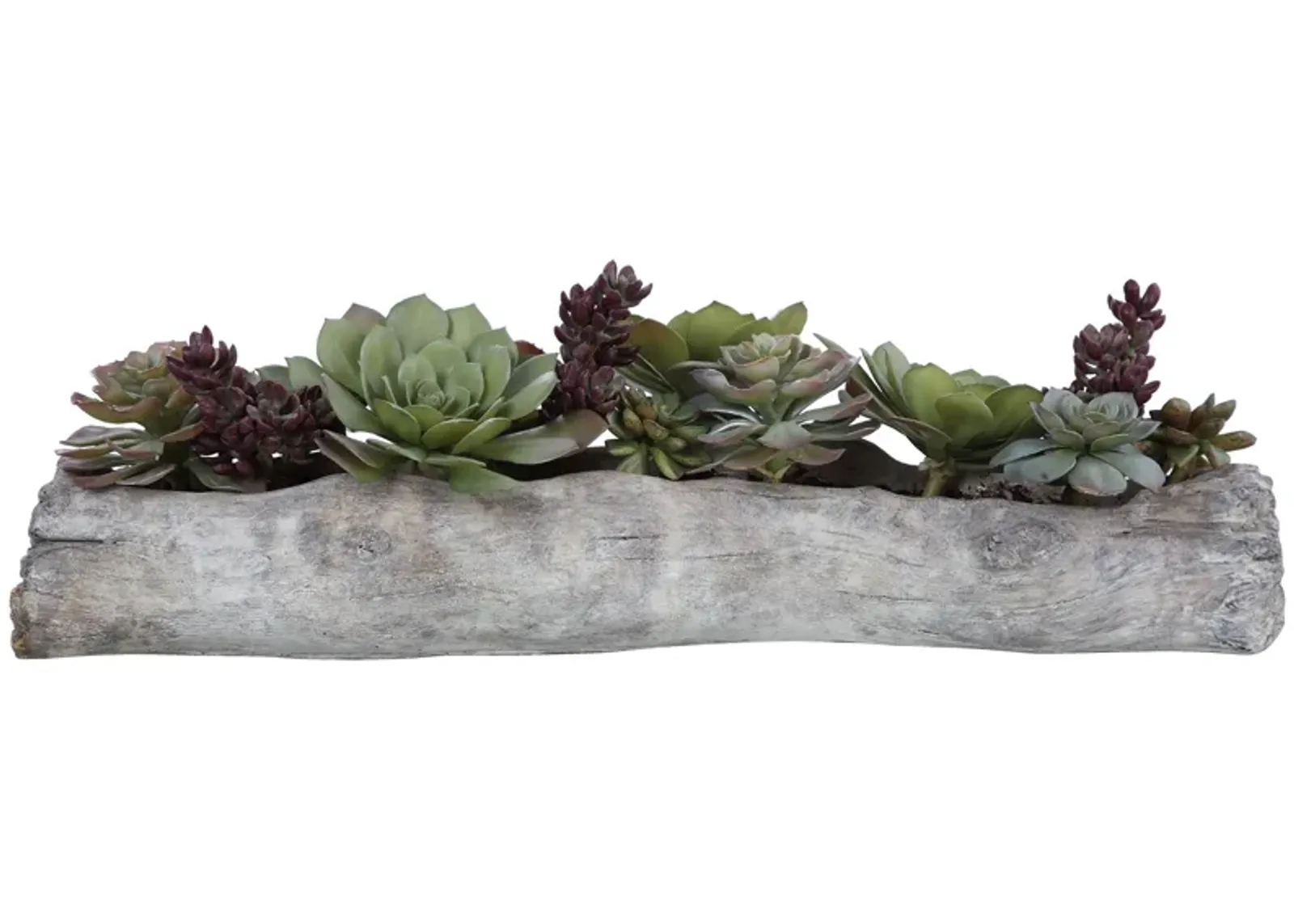 Charita Lush Succulents