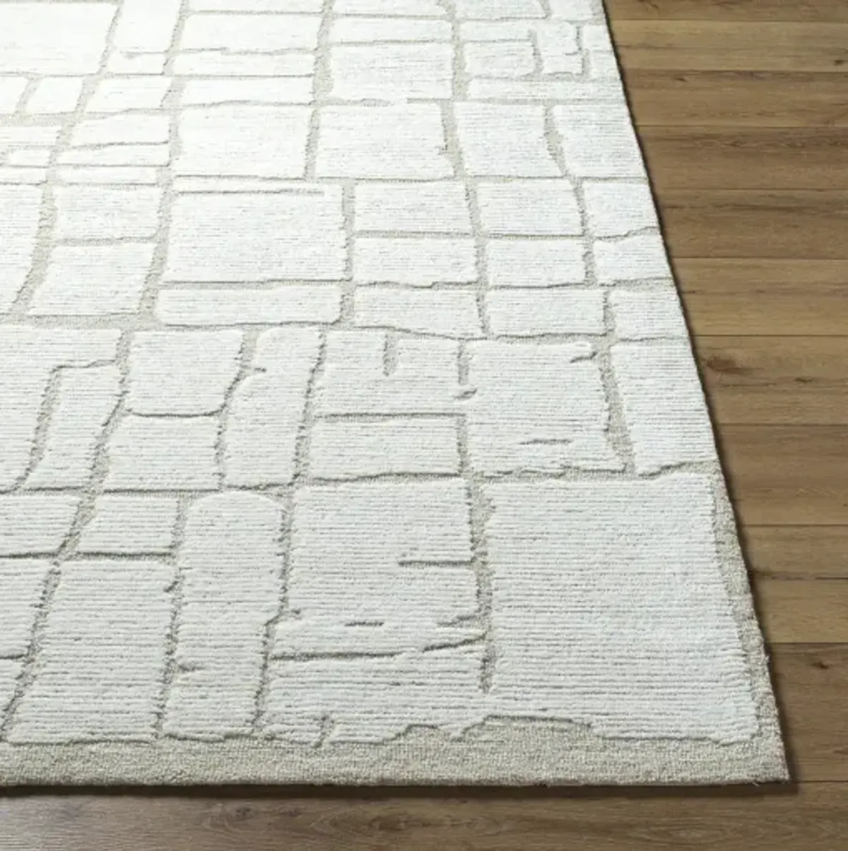 Bianca BNC-2300 2' x 3' Hand Made Rug