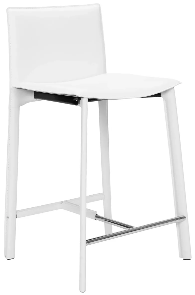 Janet 24" Counter Stool (Set of 2)