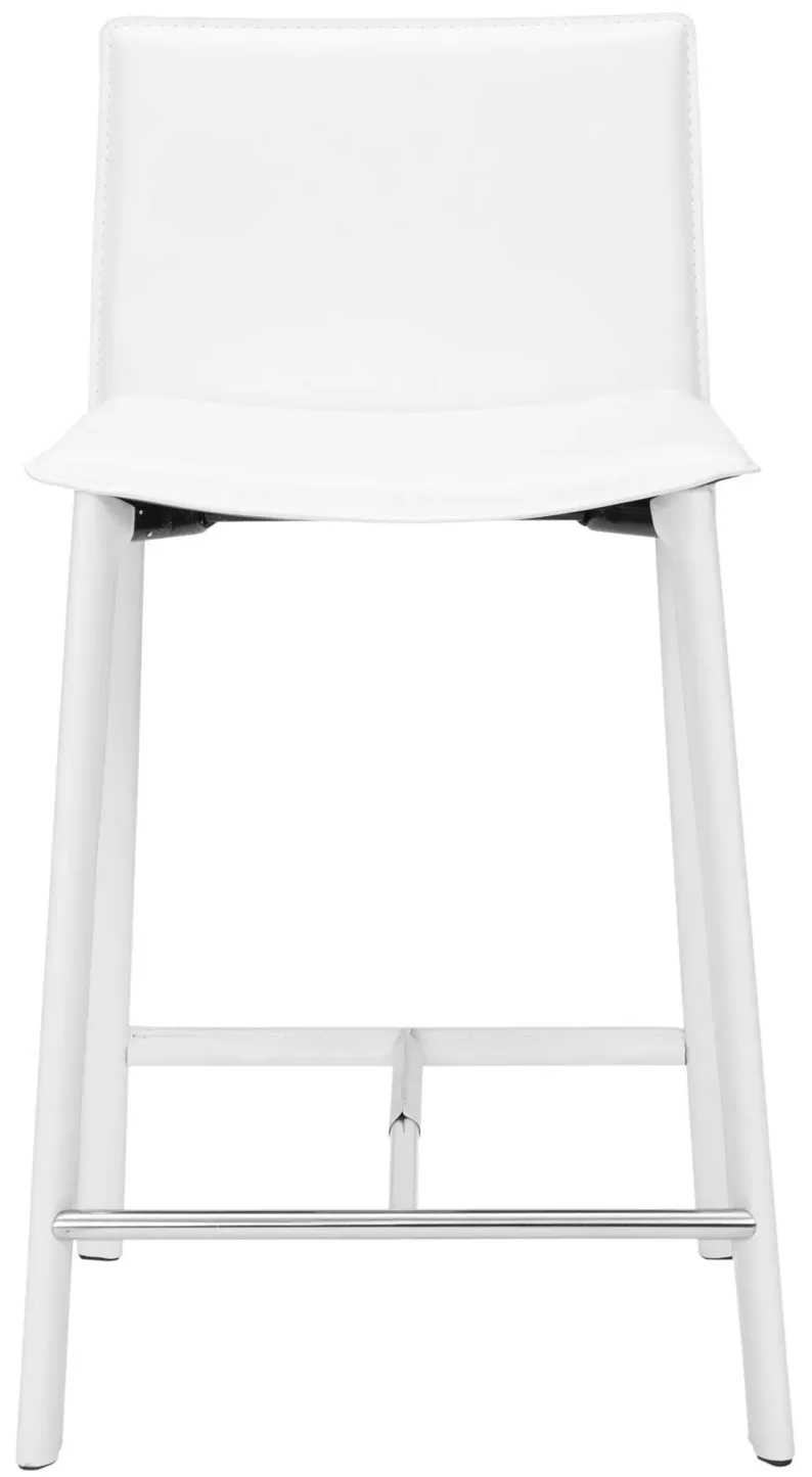 Janet 24" Counter Stool (Set of 2)