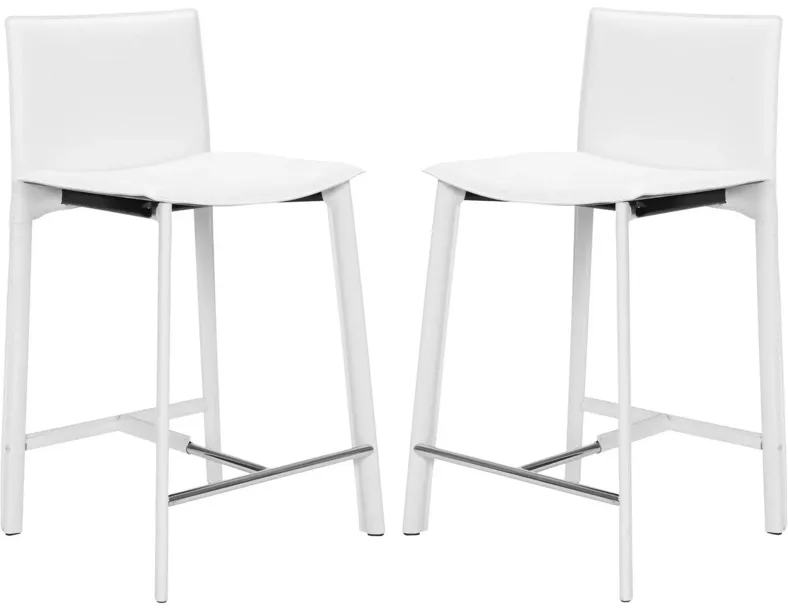 Janet 24" Counter Stool (Set of 2)