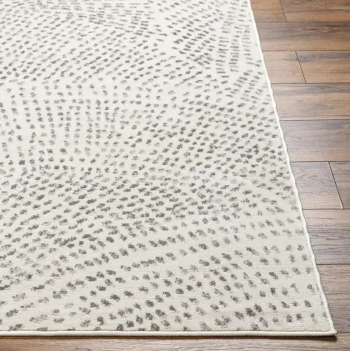 Pisa PSS-2365 7'10" x 10' Machine Woven Rug