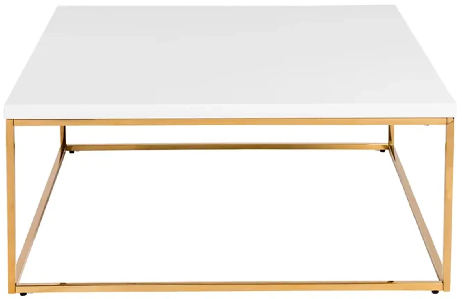 Teresa Square Coffee Table in White with Brushed High Gloss Gold Stainless Steel Frame