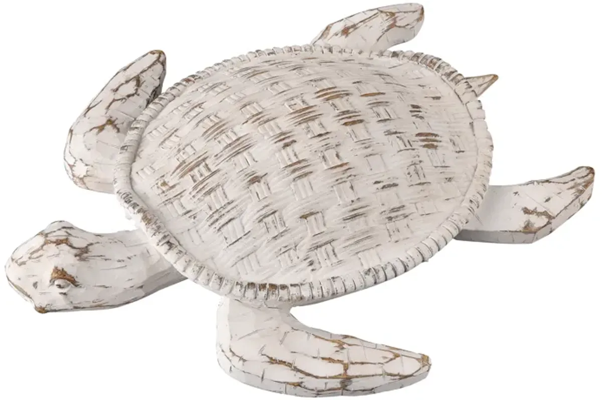 Aly Turtle  -  Whitewash - Set of 2