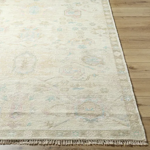 Antalya AAT-2307 8' x 10' Handmade Rug