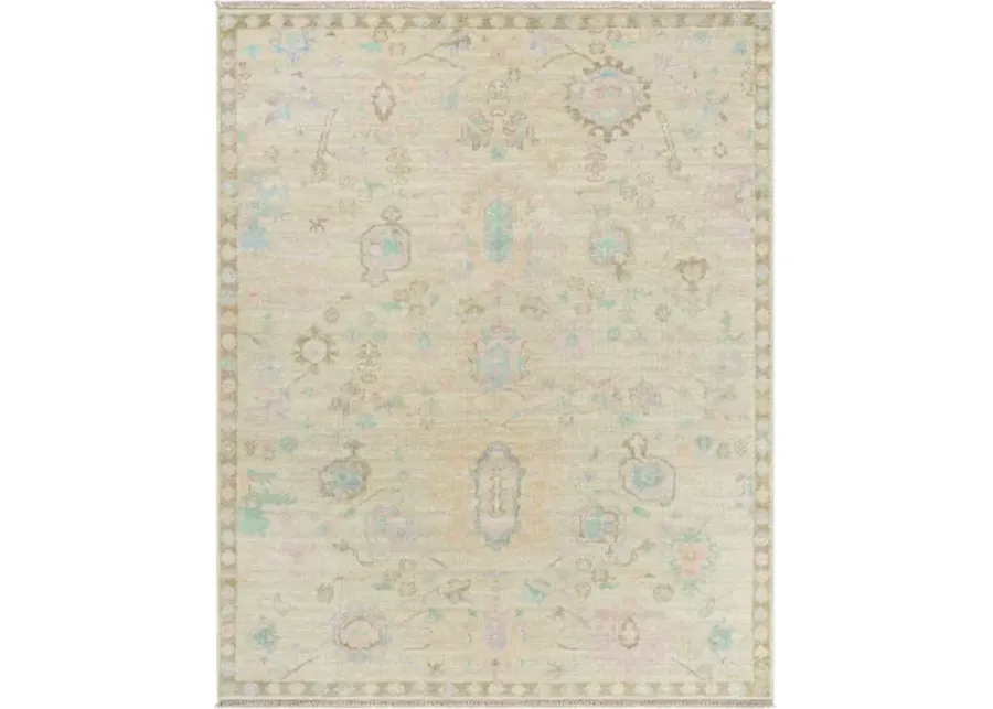 Antalya AAT-2307 8' x 10' Handmade Rug