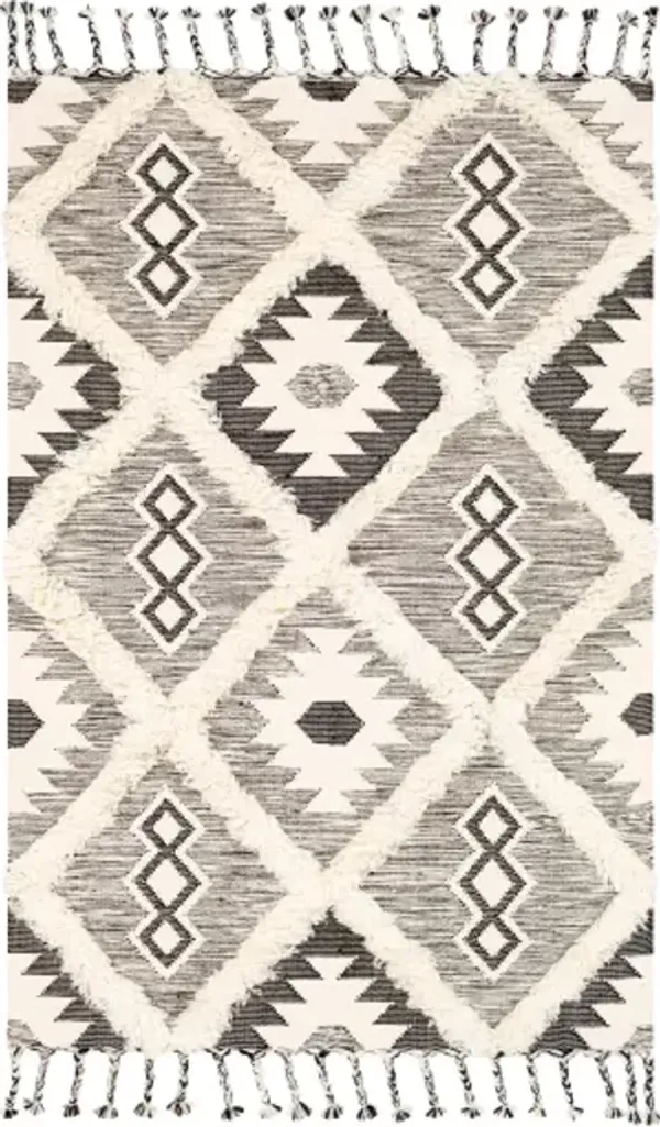 Apache 2' x 3' Rug