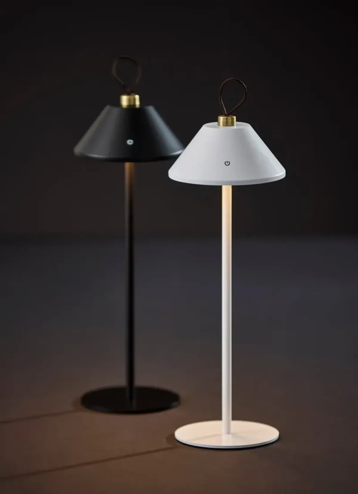 Danny LED Cordless Table Lamp