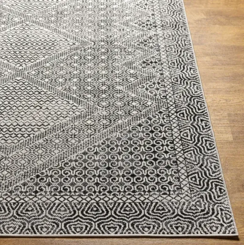 Lavadora 6'7" x 9' Rug