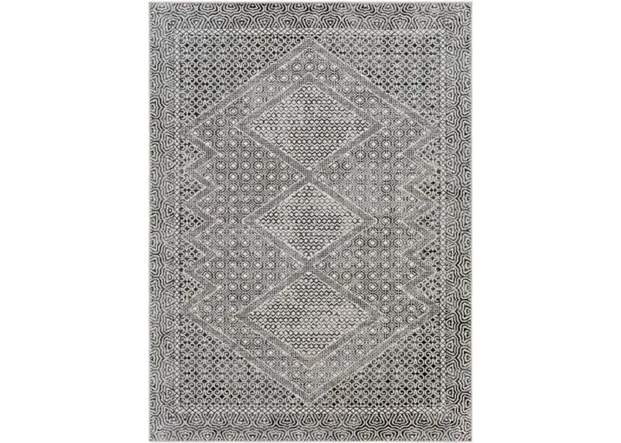 Lavadora 6'7" x 9' Rug