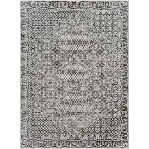 Lavadora 6'7" x 9' Rug