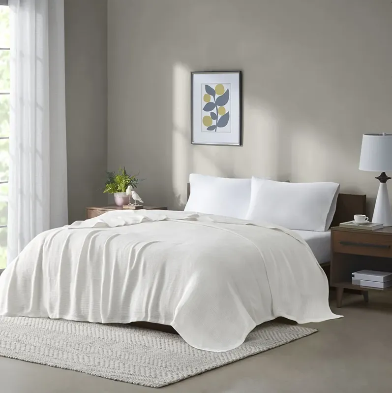 Madison Park Freshspun Basketweave Cream Cotton Blanket
