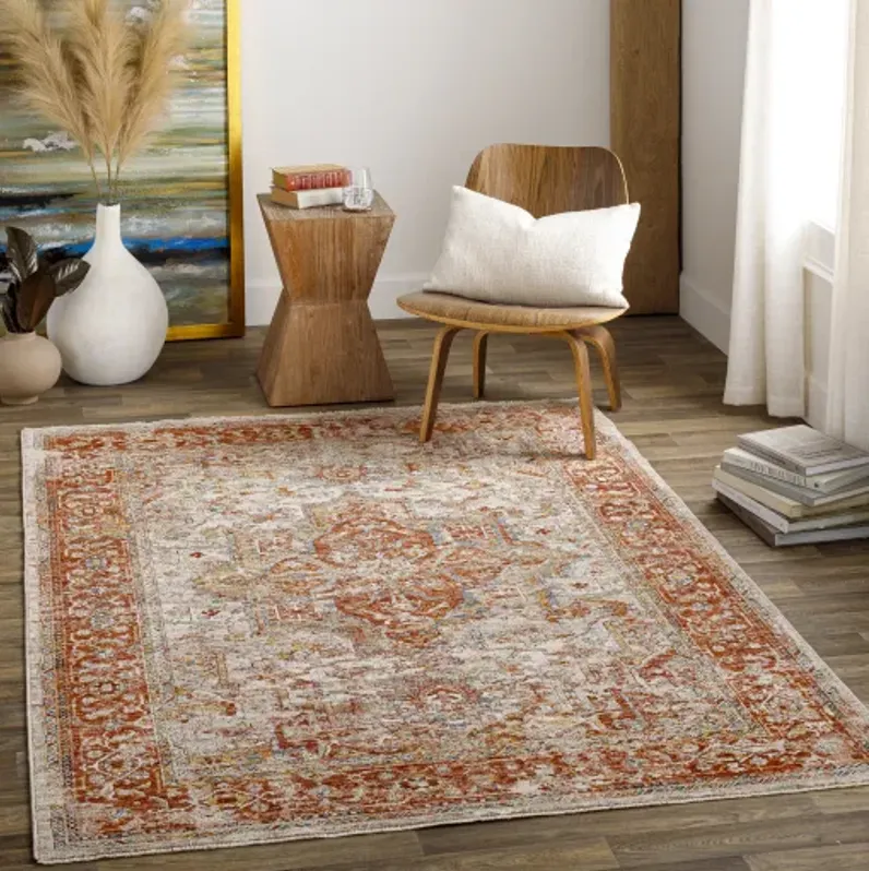 Aspendos APS-2320 2'7" x 7'3" Rug