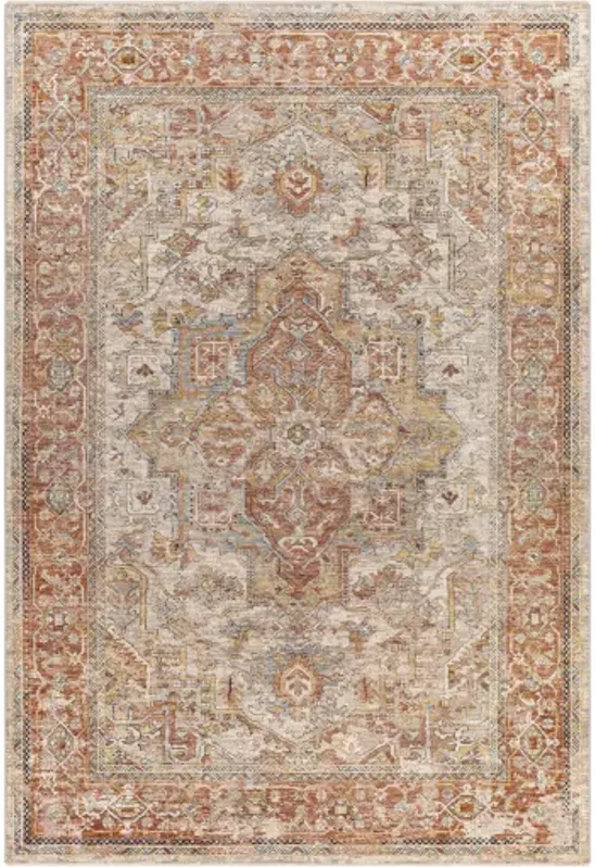 Aspendos APS-2320 2'7" x 7'3" Rug