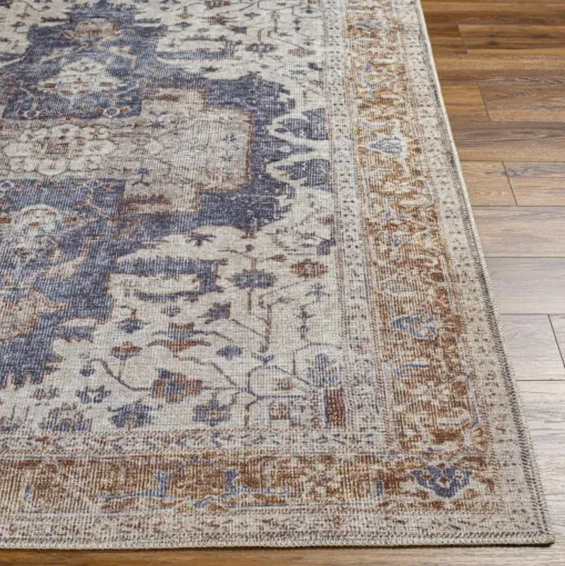 Amelie AML-2374 8'10" x 12' Machine Woven Rug