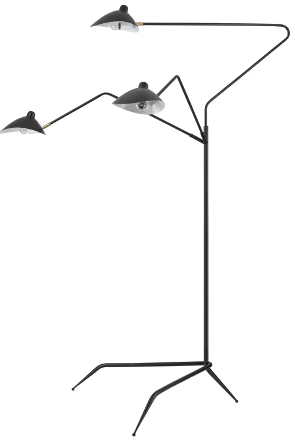 Risley 81.5'' High 3-Light Floor Lamp - Matte Black